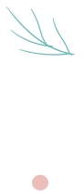 team2-front